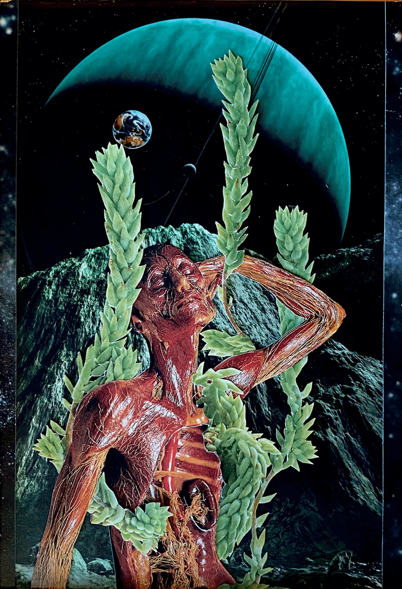 wax cadaver with succulents growing out of it on a barren planet in space