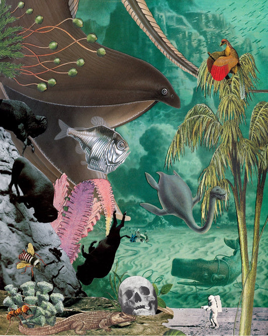 underwater peril awaits the psychonaut as they try and use a camera