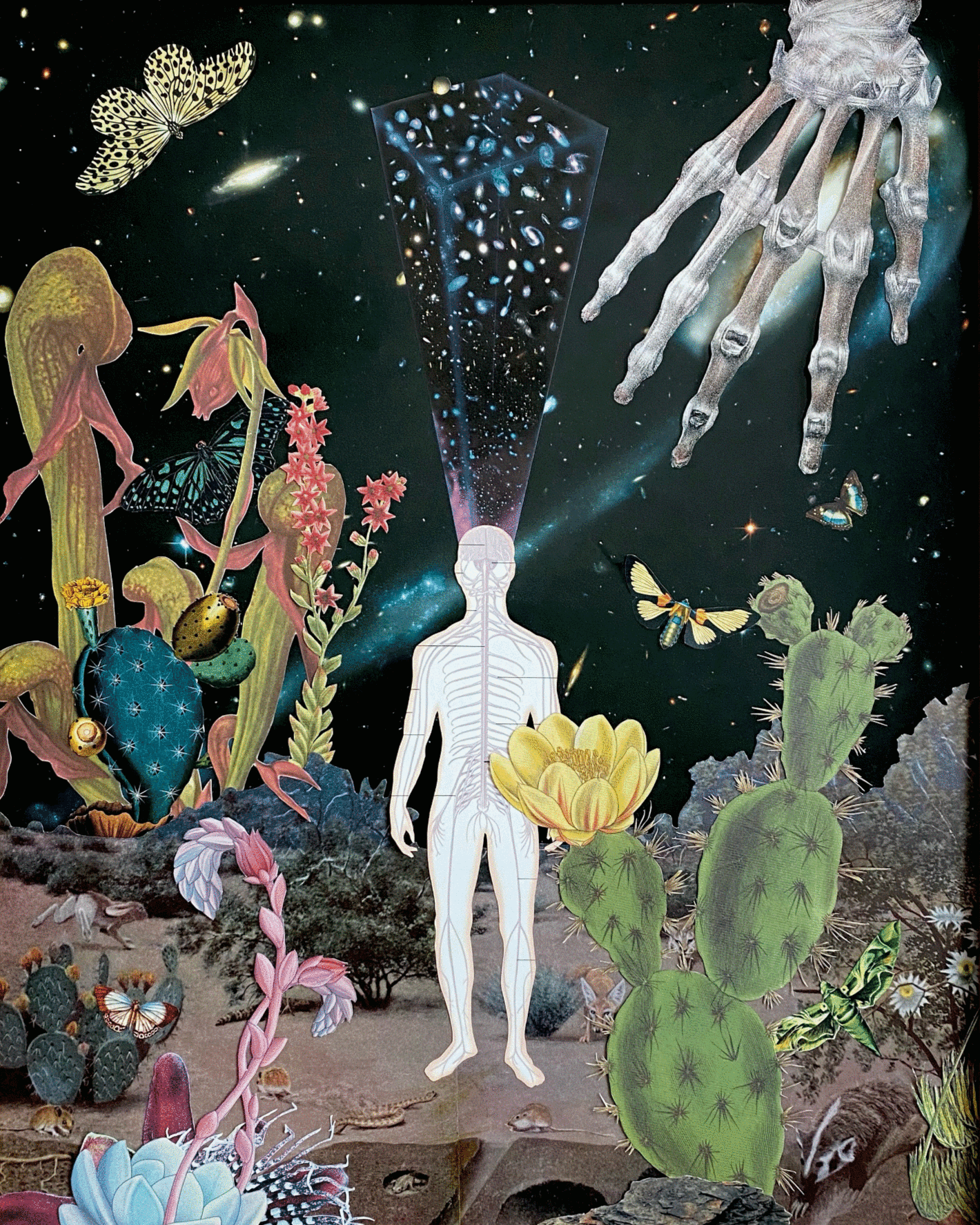 Nocturnal desert landscape with a central figure, the outline of a human body with the nervous system within and galaxies sprouting from its head, surrounded by blooming desert flora. A large skeletal hand reaches down from the sky